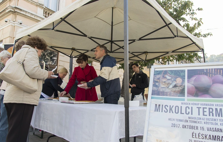 Az ősz ízei a jubileumi Termelői Napon – pite parádéval várták a látogatókat Miskolcon