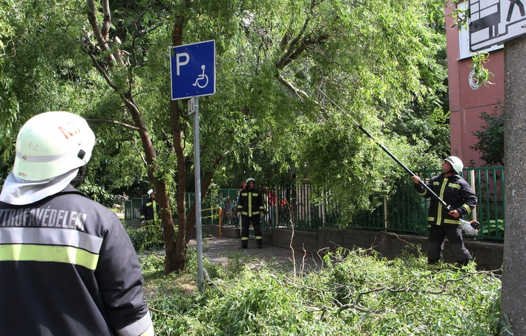 A hét eleji viharok 500 millió forint értékű károkat okoztak