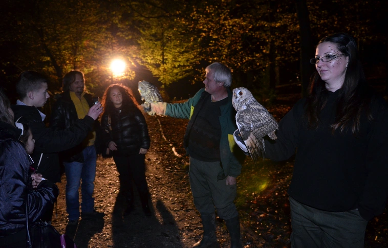 Idén is tart halloween estet a Miskolci Állatkert