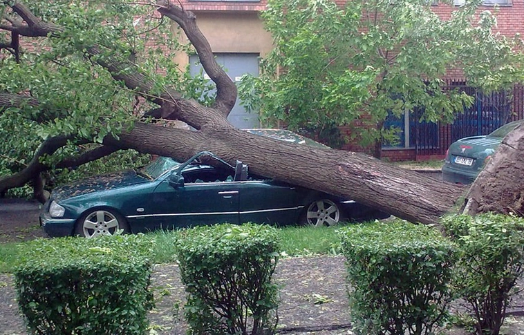 Négy ember halt meg, amikor fa dől egy autóra Dombóváron