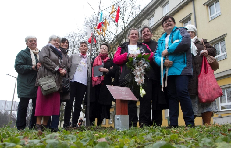 Életfát ültettek, emléktáblát avattak a Megyei Központi Kórházban