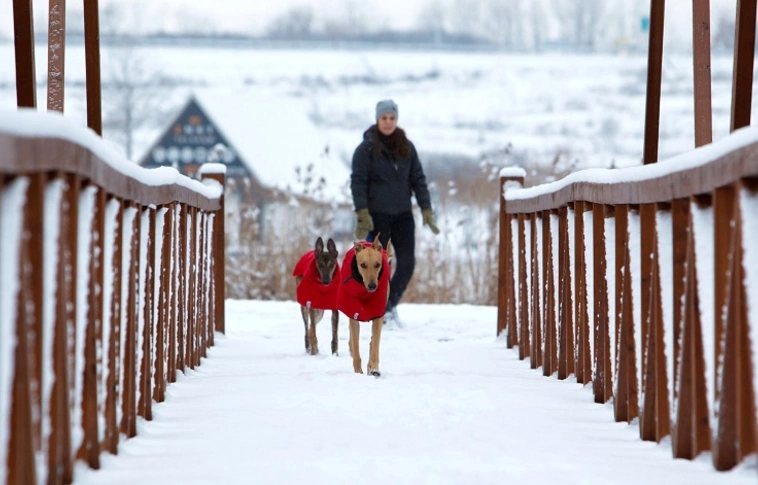 Sál, sapka, kesztyű – Havas eső, hó is eshet!