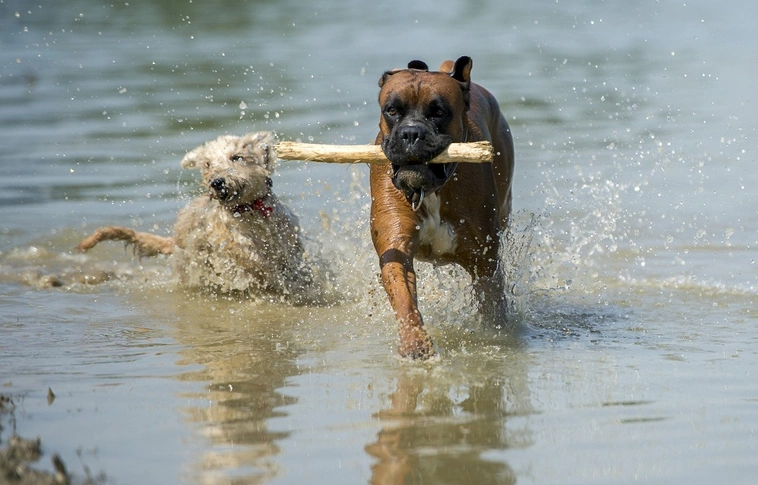Hőségriasztást adott ki az országos tisztifőorvos