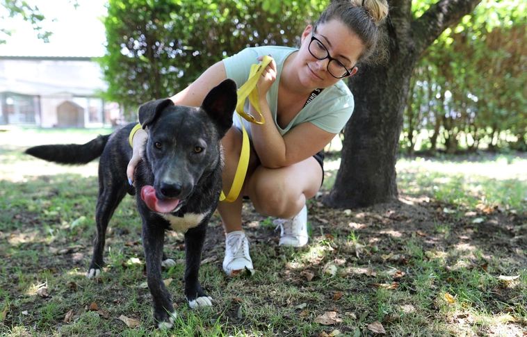 állategészségügyi telep nyílt nap kutyagolás