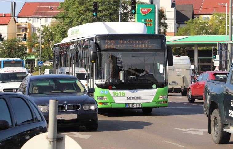 mvk busz