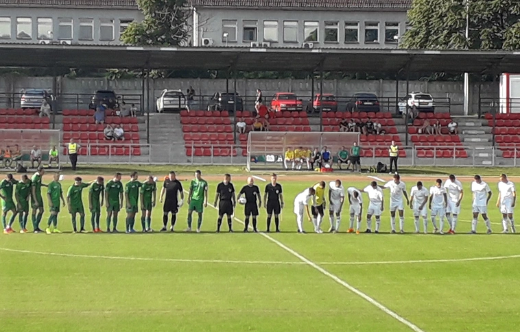 MVSC 2019