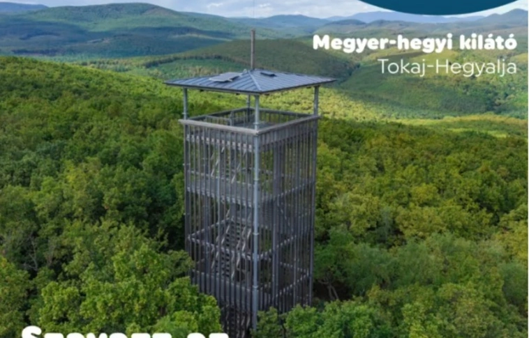 Megyer-hegyi kilátó