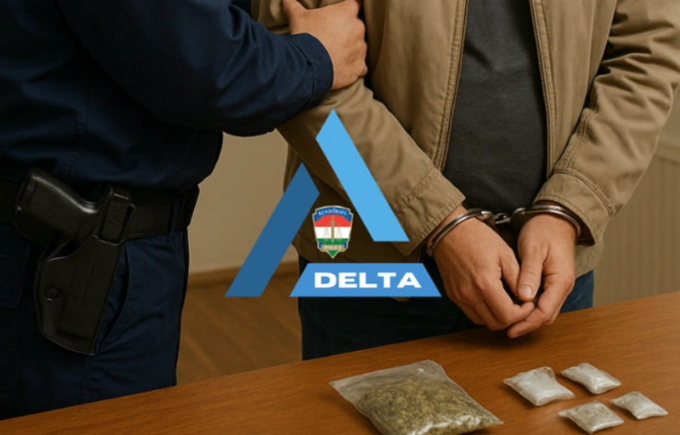 Delta Program