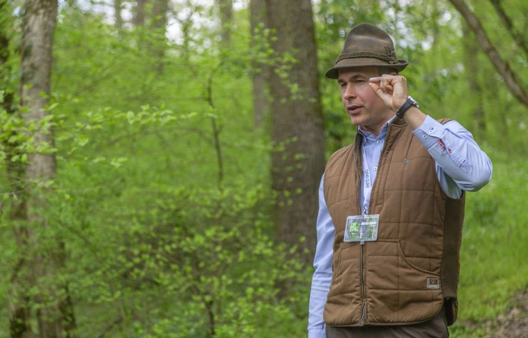 Bózsó Gyula Ehető Erdő Bükk MIDMAR