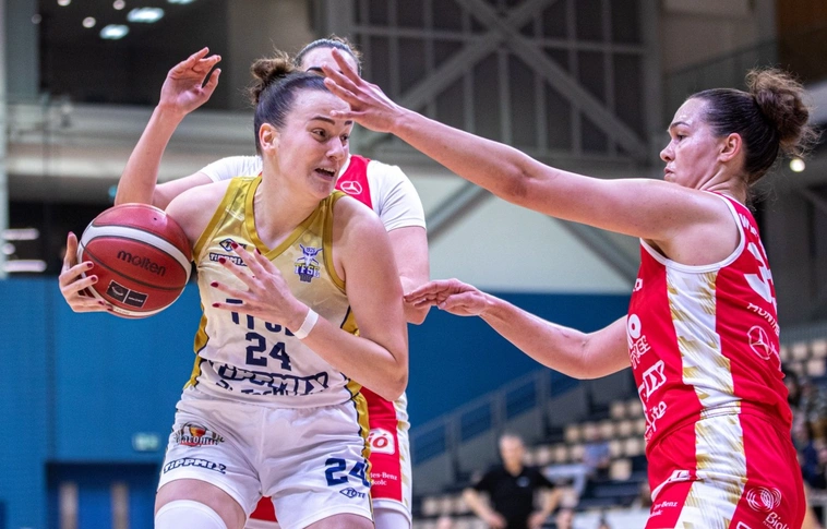 TFSE - DVTK HunTherm