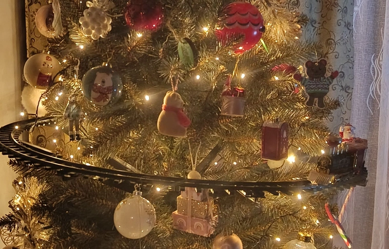 Miskolc karácsonyfája