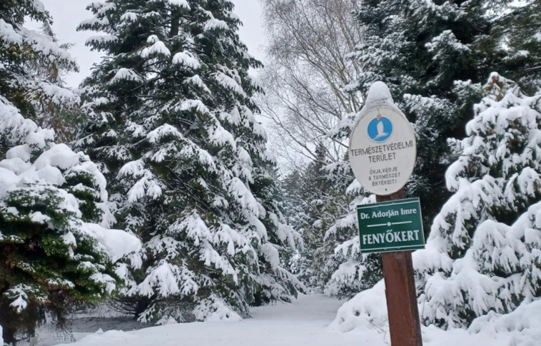 Télen még mesésebb az Avasi Arborétum. Hutóczki Ádám Norbert