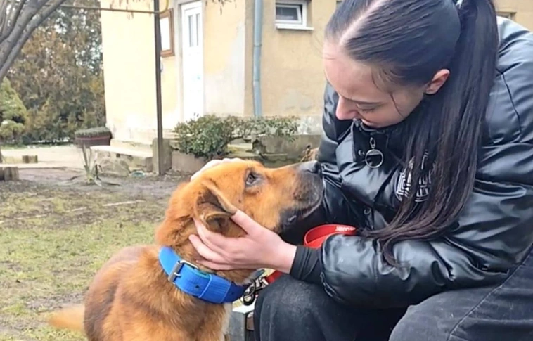 miskolci gyepmesteri telep