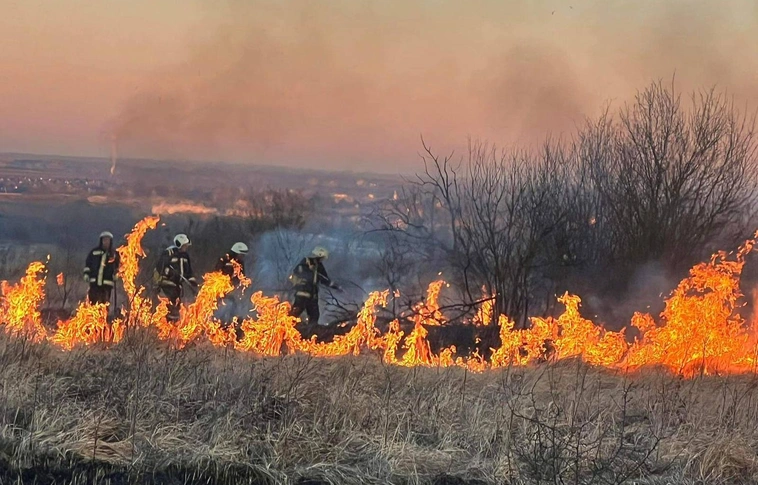 lángoló növényzet katasztrófavédelem