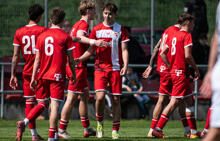 DVTK II F4R Fotó: DVTK