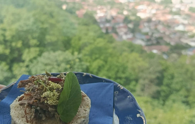 Ehető Erdő kódtoló_BNR