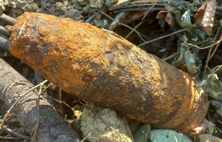 bomba Szimbiózis Alapítvány Baráthegyi Majorsága