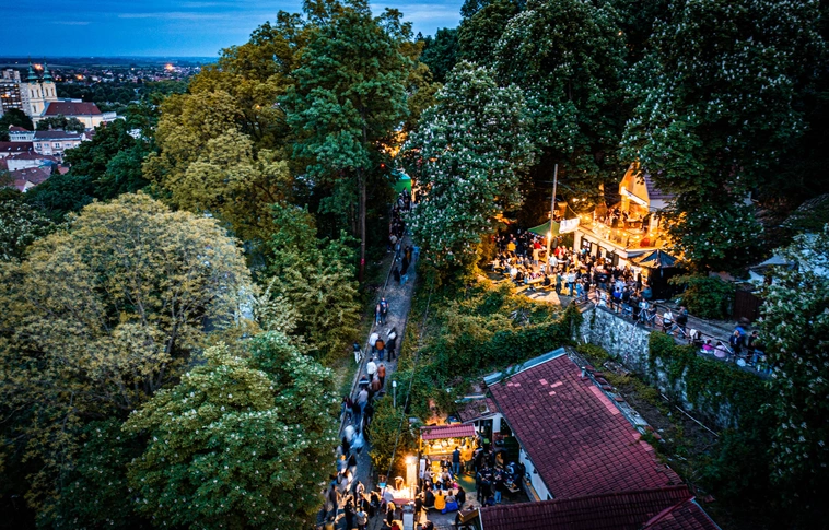 Avasi Borangolás szombat este