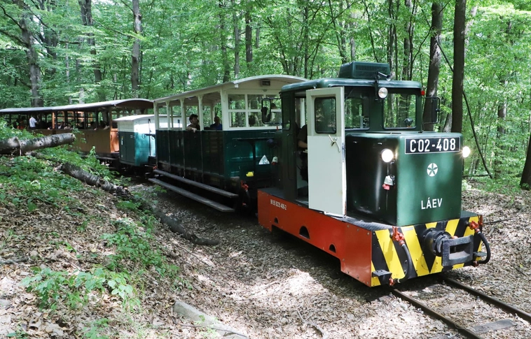 Erdei Gasztroexpressz élménytúra
