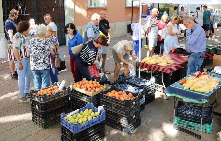 fotó: Mocsári László