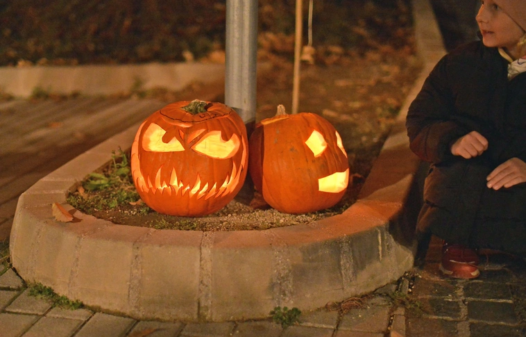 Halloween-est a Miskolci Állatkertben