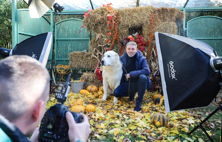 Jótékonysági kutyafotózás a Miskolci Állategészségügyi Telepen
