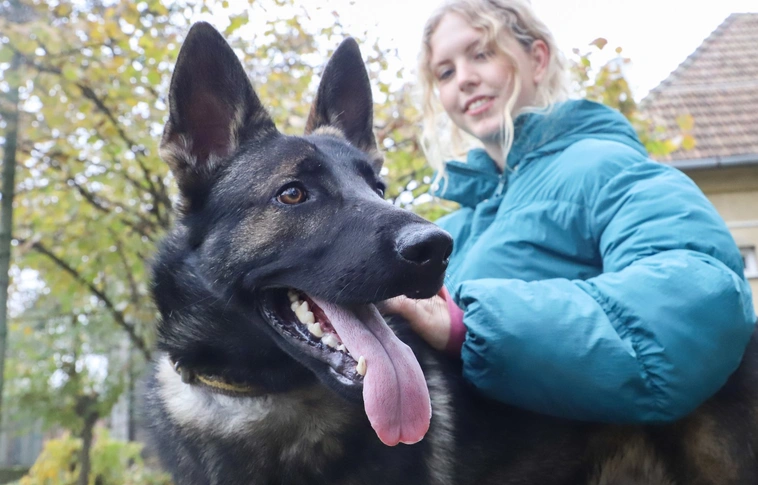 Nyílt nap a Miskolci Állategészségügyi Telepen