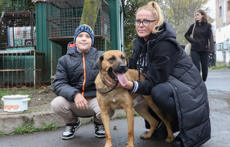 fotó: Mocsári László