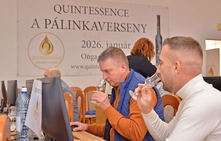 Quintessence zsűrizés Ongán