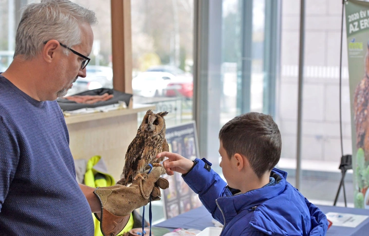 Miskolci Egyetem - Bagoly Nap