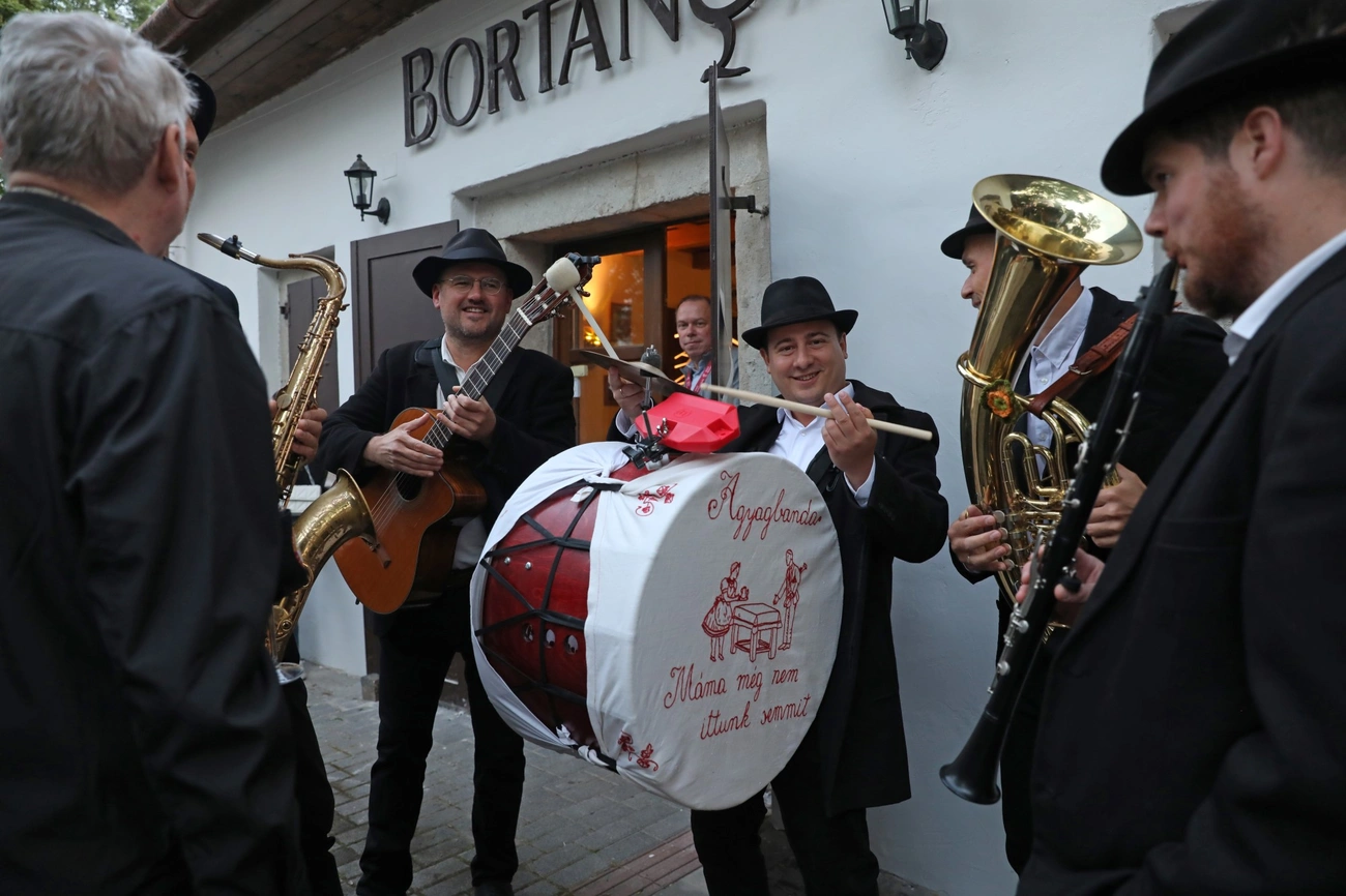 Borangolás