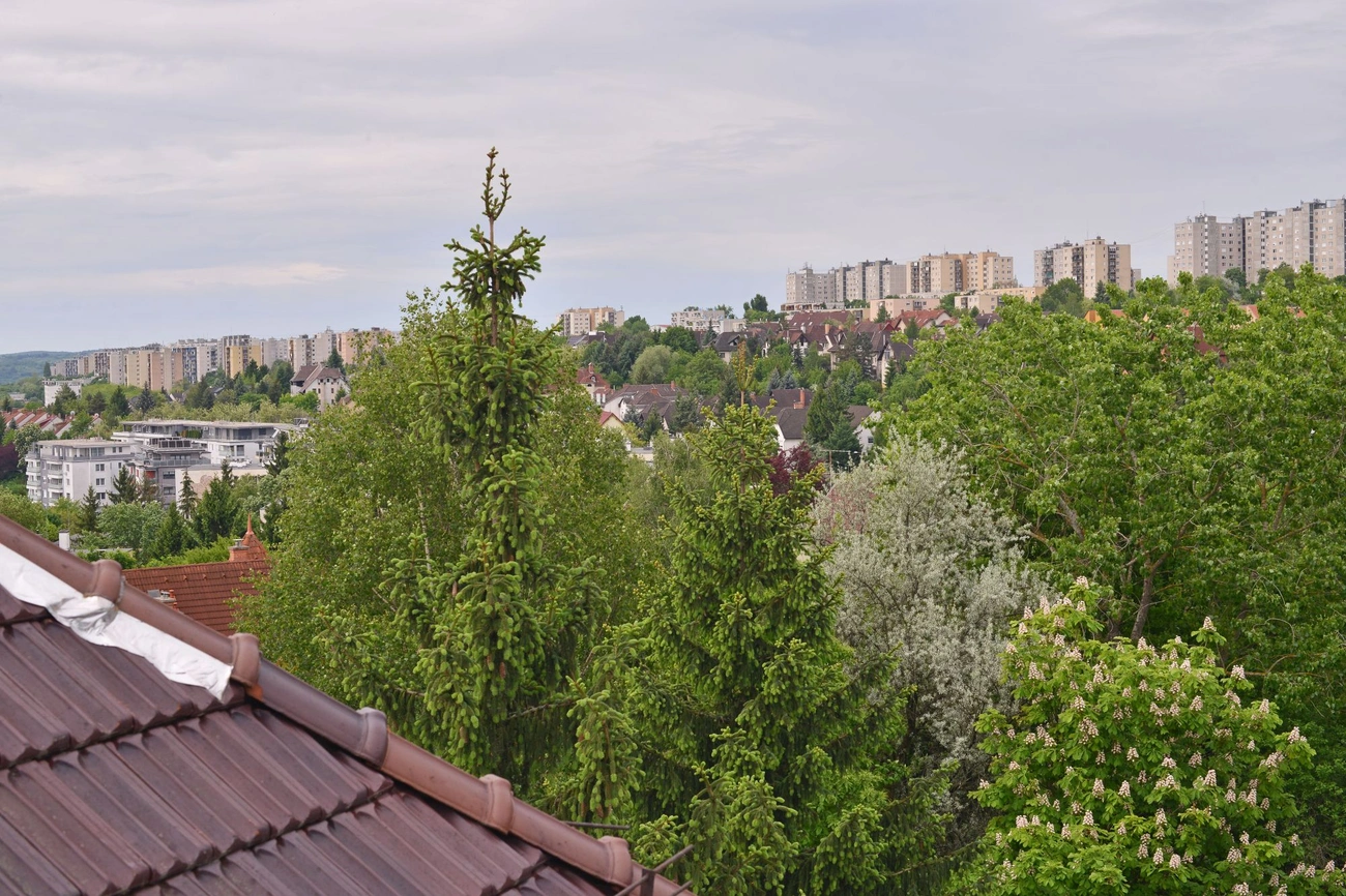 MINAP_indito_20250508-ot_01.jpg