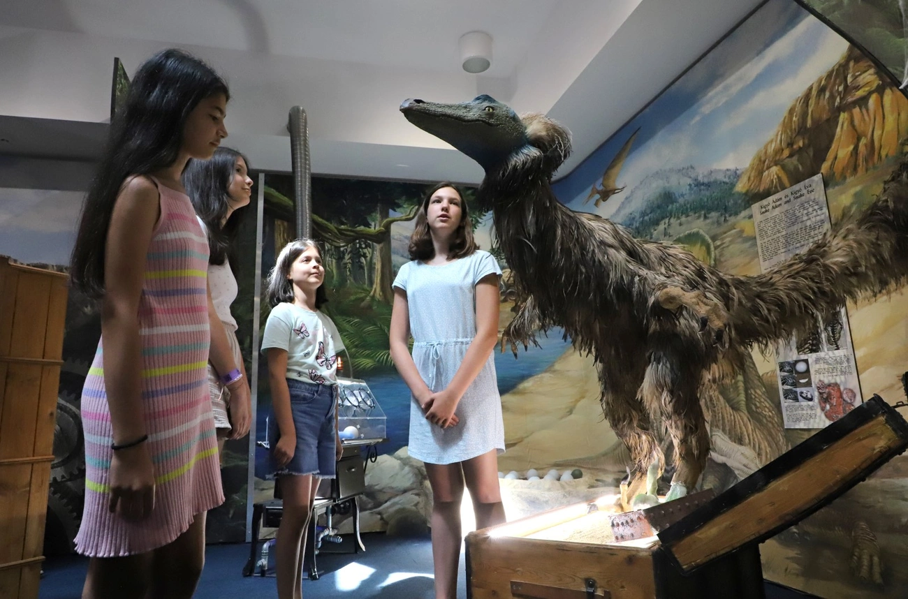konyvtari_tabor_muzeum_250704ml-2.JPG (380.92 KB)