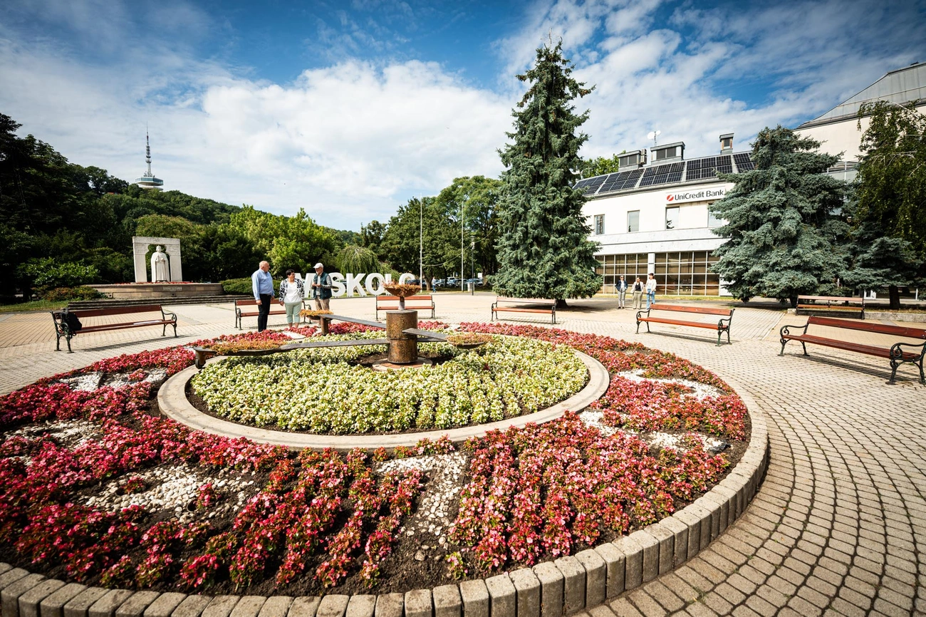 viragos_magyarorszag_verseny_zsuri_250711_web_hcs-13.jpg
