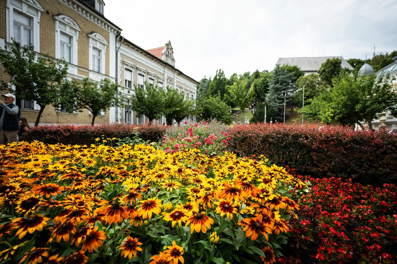 viragos_magyarorszag_verseny_zsuri_250711_web_hcs-18.jpg