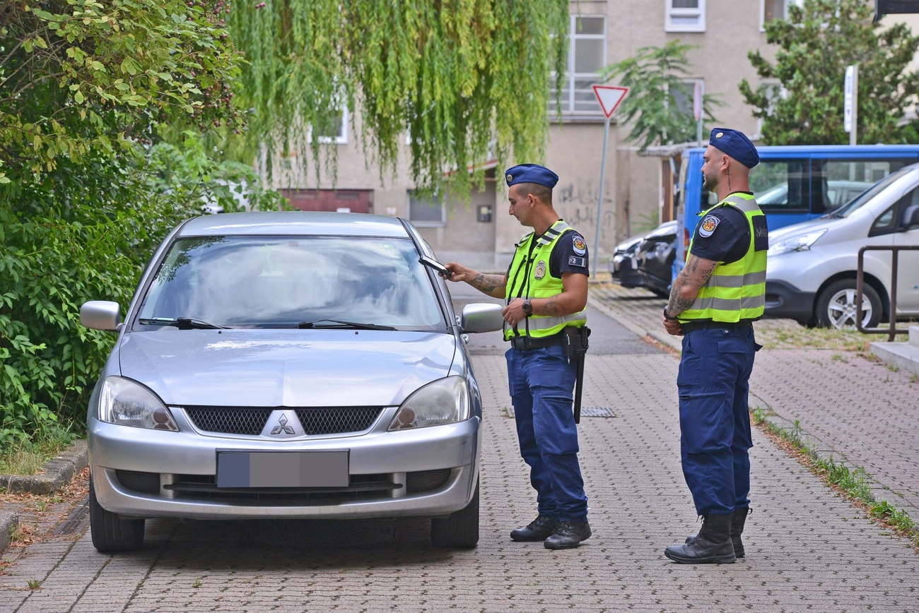 mior_jarorok_20250712-ot_16.jpg