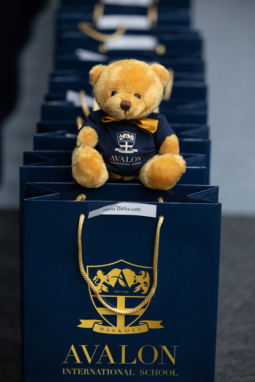 Avalon International School