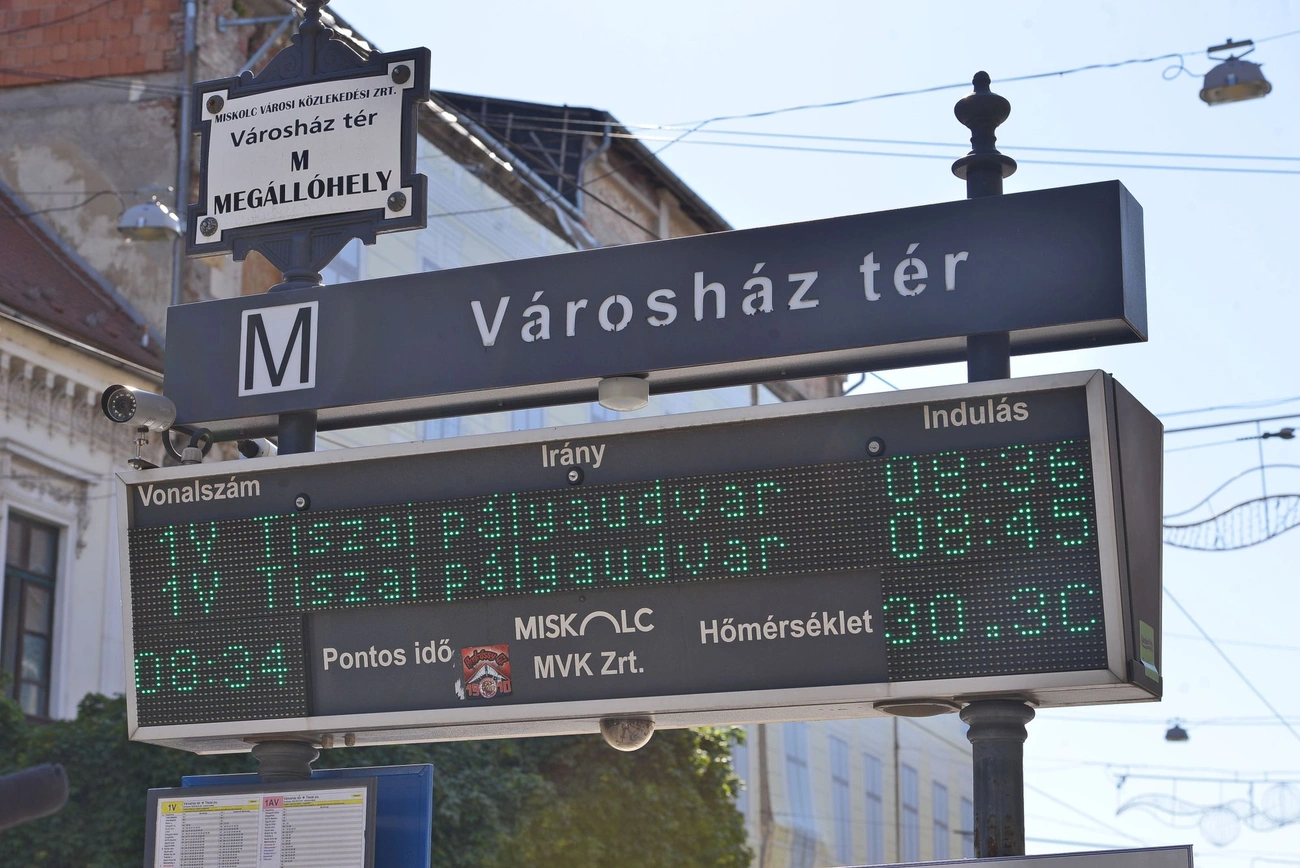 meleg_van_jarokelokkel_20250724-ot_14.jpg