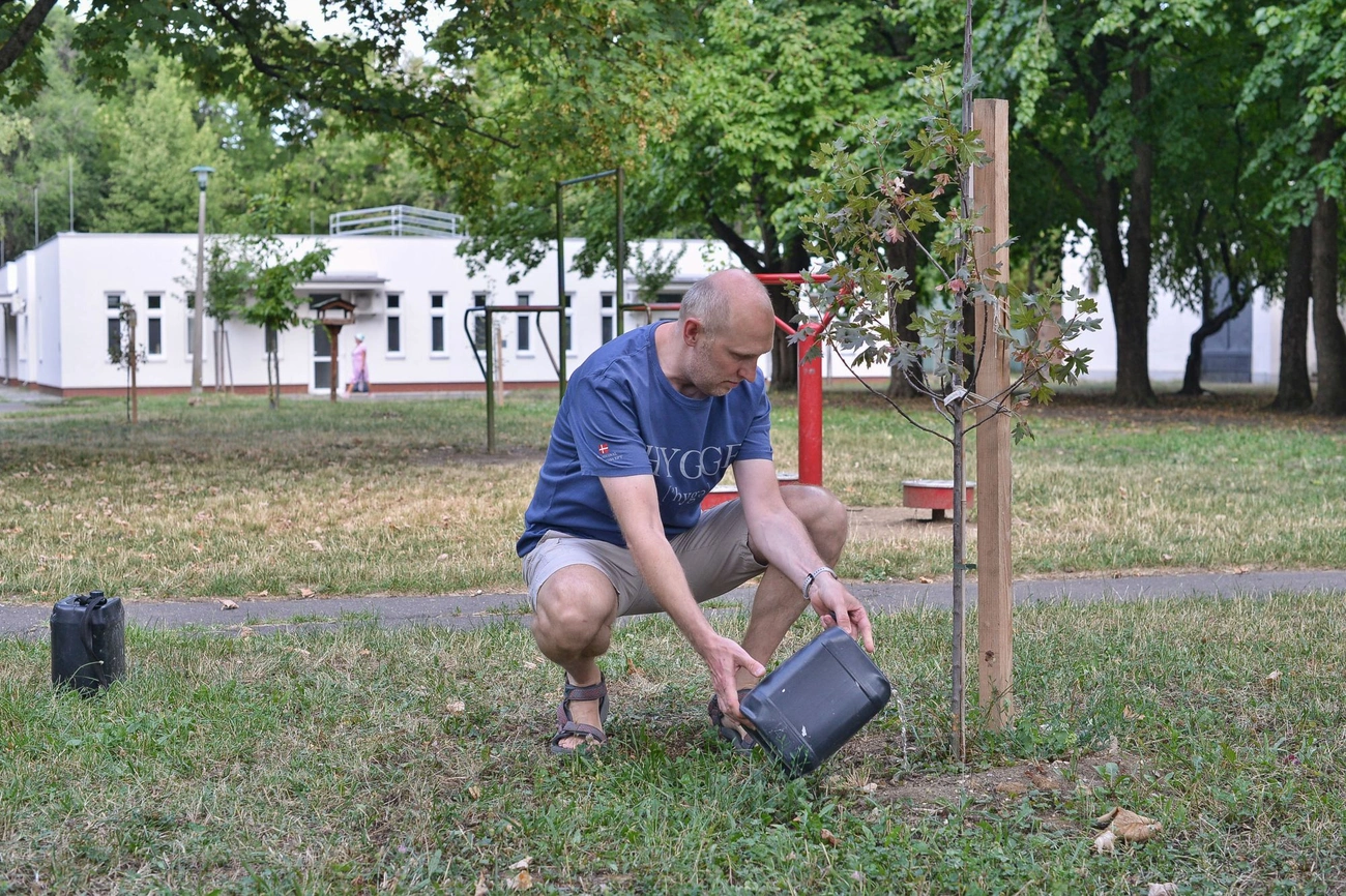 fak_locsolasa_kenderfoldon_20250724-ot_04.jpg