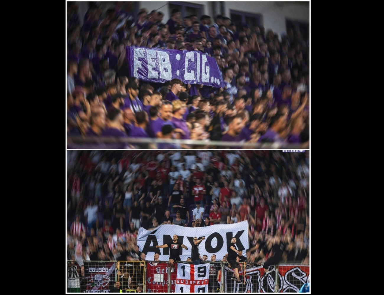 ciganyozas_molino_ujpest