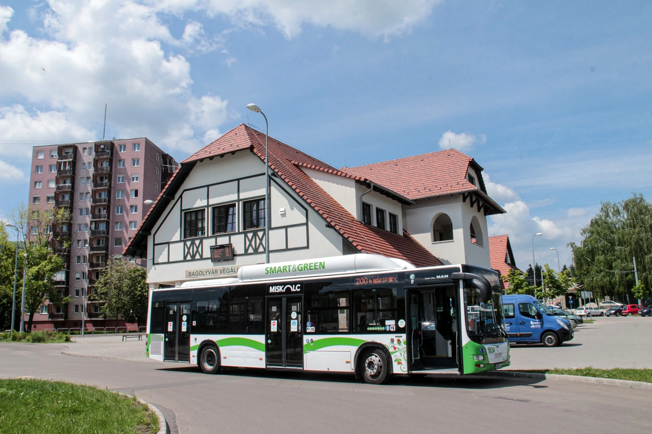 Zoo járat, MVK