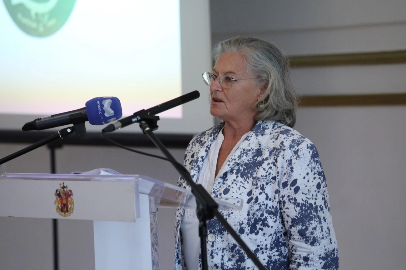 Várhelyi Krisztina, Ars Sacra sajttáj