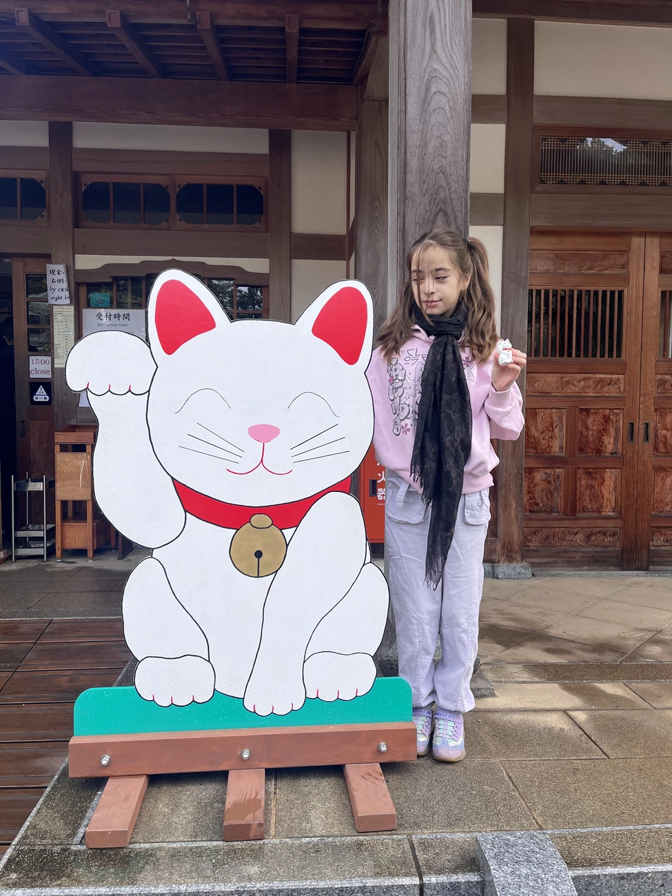 aisha-japanban3.jpg