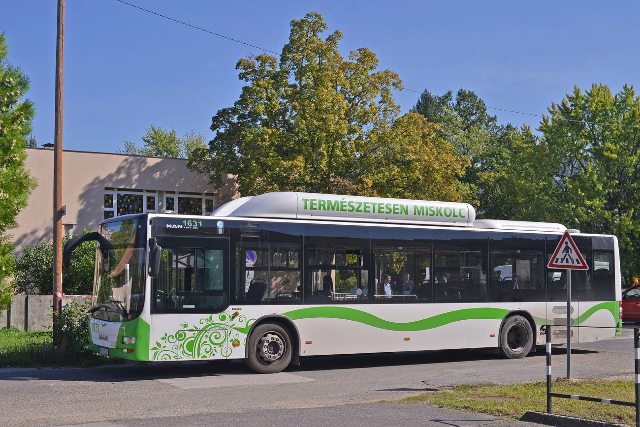 jozsef_utcai_ovoda_20250922-ot_11.jpg