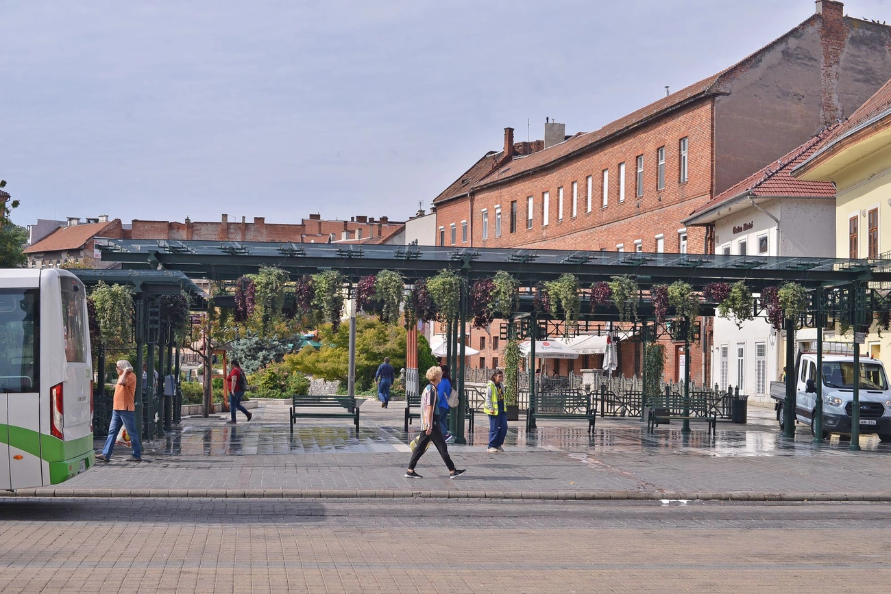 szinva_terasz_takaritas_20250923-ot_13.jpg