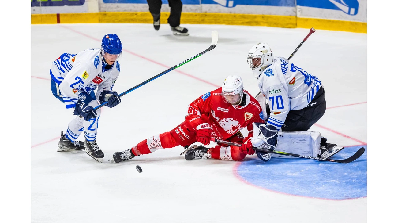 dvtk-hoki-1.jpg