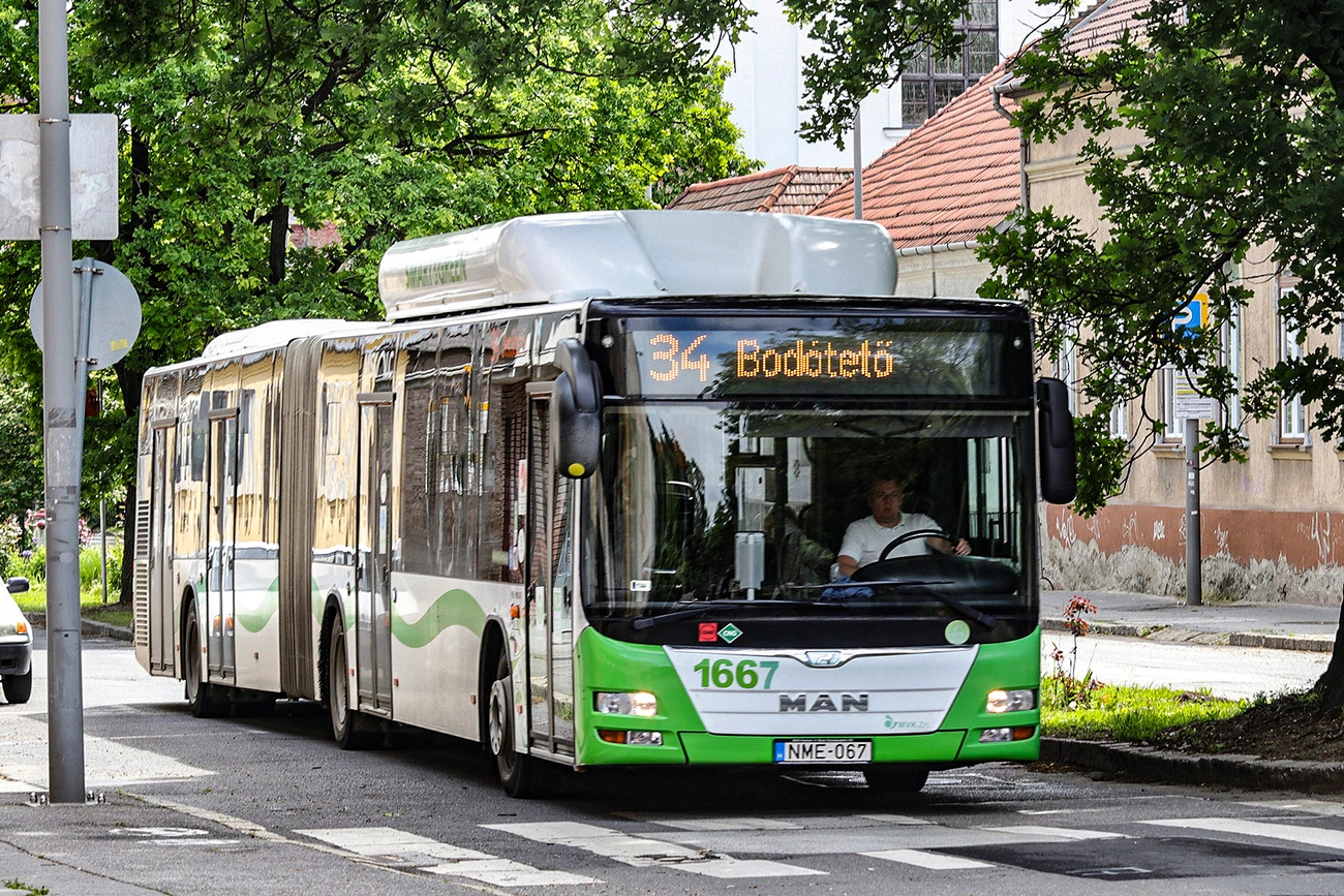 34-es busz