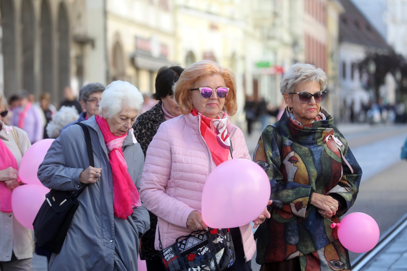 rozsaszin_szalagos_seta_251004_ja-15.JPG