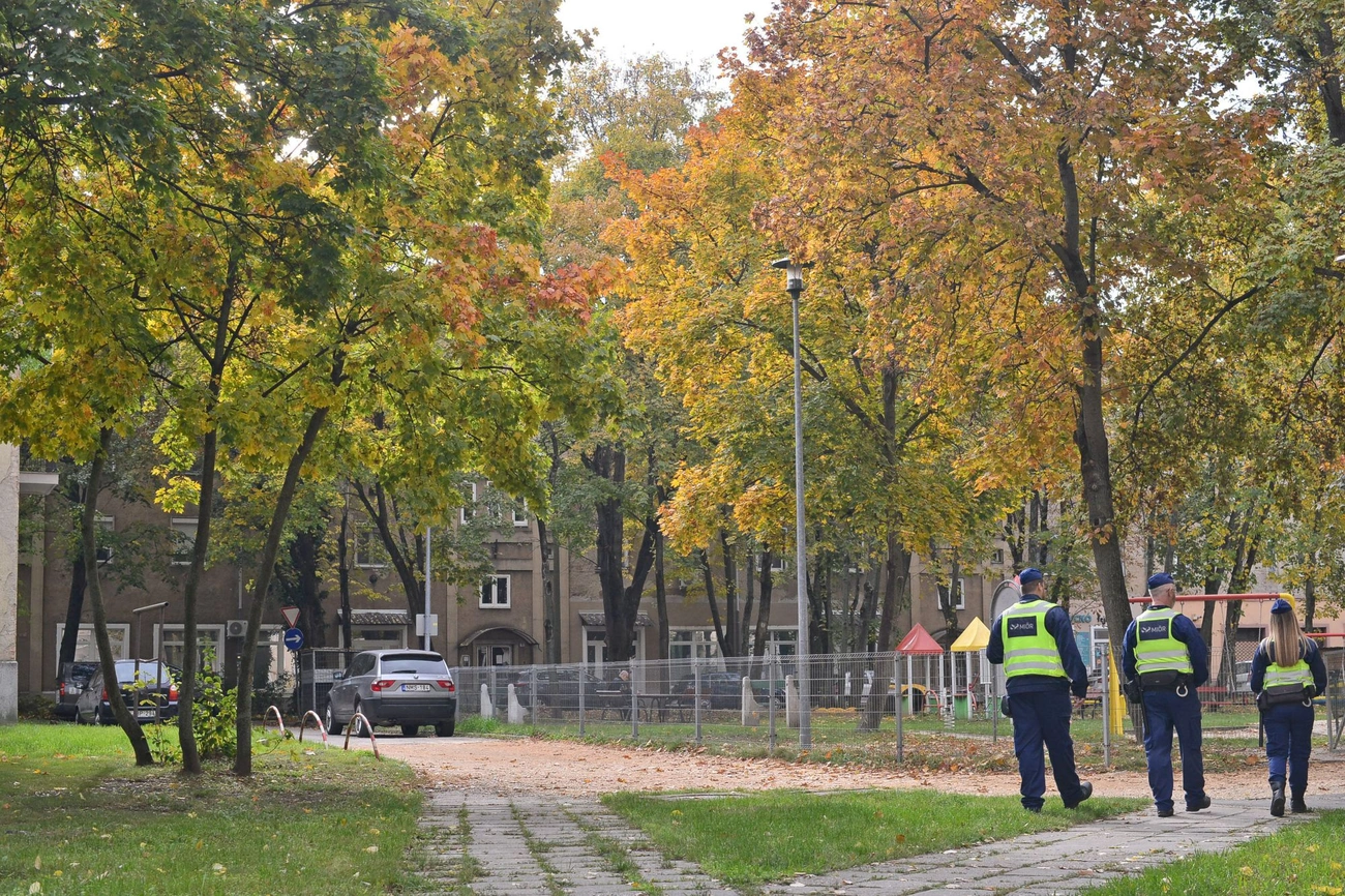 prosti_korkep_selyemret_20251017-ot_24.jpg