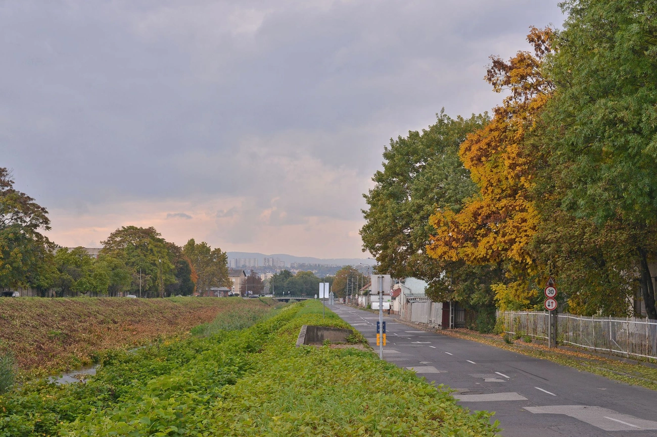 prosti_korkep_selyemret_20251017-ot_37.jpg